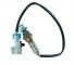 O2󥵡 ۡǥ󥳥ɥ Statesman ADVENTRA  MONARO OZA668-E22 AL-CC-8753 AL