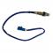 O2󥵡 3M51-9G444-CB FO-RD ե C MAX 1.6L 2004 AL-DD-1978 AL
