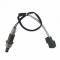 O2󥵡  󥵡 OEM 36531PPA003 Ŭ: ۥ CRV II ӥå VII 2.0 2001-2006 4 磻䡼 ץ DOX-1415 AL-FF-8780 AL