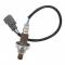 O2󥵡 OEM 8946712030 20082011 O2󥵡 󥻥󥵡 Ŭ: ȥ西  ޥȥå  XD 1.8L AL-FF-8881 AL