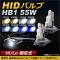 AP HIDХ/HIDСʡ 55W HB1 Hi/Lo 꼰 ٤8ӥ AP-HD126