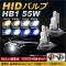 AP HIDХ/HIDСʡ Х饹դ 55W HB1 Hi/Lo 꼰 ٤8ӥ AP-HD127