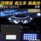AP LED롼 18Ϣ 36 AP-LEDRL-3X6