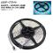 LEDơץ饤 RGB 5050SMD 300Ϣ IP20 ɿ 5m 24V  AP-LL316