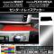 󥿡ȥ쥤ƥå ޥåȥĴ ϥ/ȥ西 /ԥᥬ LA700 2014ǯ11 ٤20顼 AP-MTCR3048