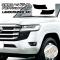 ץƥե إåɥ饤 ȥ西 ɥ롼 300(VJA300W,FJA300W) 2021ǯ08 ꥢ 1å() AP-PFHL0042-CL01
