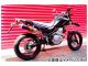 ӡॹ SS300 åץ ե륨 B215-09-003 JAN4582285323327 ޥ XT250X BA-DG11J