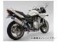 ӡॹ BMS-R ե륨 R-EVO  Ƥͭ RACING TYPE D305-53-T1S JAN4582285333609 120  Хǥå1250S/ABS EBL-GW72A