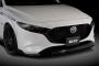֥å/BLITZ ԡR󥻥ץ եȥåץݥ顼 MAZDA3 FASTBACK åȥ֥åޥ 60384