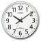 CITIZEN() 緿 ȥեå С᥿å 8MY547-019(38646)