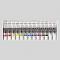 ʡ(Turner Color) 륬å 륻å 12å 2 1å(13) (39363)