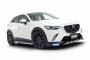 /DAMD ե륳ץ꡼ȥå ޥĥ CX-3 DK5FW/DK5AW 2015ǯ02  ٤8