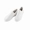 Achilles(쥹) å󥰥ᥤȤᷯ  22cm OEC9606(008587-001)