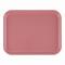 CAMBRO(֥) ȥ졼 ֥å FRP 1014(EKM011BR)