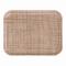CAMBRO(֥) ȥ졼 饿 FRP 1014(EKM011LA)