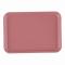 CAMBRO(֥) ȥ졼 ֥å FRP 57(EKM0134)