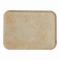 CAMBRO(֥) ȥ졼 ѡȥ FRP 1418(EKM013AG)