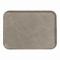 CAMBRO(֥) ȥ졼 ֥ȥ饯ȥ졼 FRP 1622(EKM0159D)