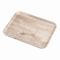 CAMBRO(֥) ޥǥ顦ߥ͡ȥȥ졼 饤ȥ ѷ MA3646(EMD0203)