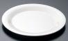CARLISLE(饤) 饹 ǥʡץ졼 ܡ 26cm 33002(NSR0402)