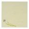 ƥå(artec) 5 ͵β  15cm 1å(100) S5-5(QKIC1)