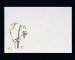 ޥ(Mine) ͵   26.539cm 1å(100) M30-206(QSV25)