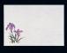 ޥ(Mine) ͵   26.539cm 1å(100) M30-207(QSV26)