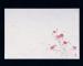 ޥ(Mine) ͵   26.539cm 1å(100) M30-212(QSV31)