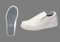 Achilles(쥹) å󥰥ᥤȥˡ100  24.5cm SKT7506