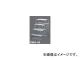 Ĺë/HASEGAWA Ω EWA-4015651