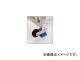Ĺë/HASEGAWA ̥㥹ʸ꼰 12036