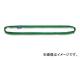 ȡ/KITO ݥꥨ 饦ɥRE  8.0t-702.5m RE080-2.5M