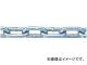 ˥å/NISSA CHAIN إӡ Ŵ ˥ 30m IW85 JAN4968462058112