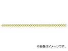 ˥å/NISSA CHAIN 硼ȥޥƥ 夦  30m BS16 JAN4968462065226