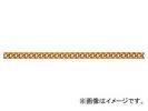 ˥å/NISSA CHAIN եꥯ󥷥硼ȥޥƥ ߥ˥  30m AS25F JAN4968462070800
