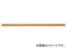 ˥å/NISSA CHAIN եꥯ󥷥硼ȥޥƥ ߥ˥  30m AS20F JAN4968462071500
