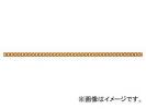 ˥å/NISSA CHAIN եꥯ󥷥硼ȥޥƥ ߥ˥  30m AS16F JAN4968462071906