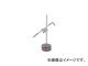 ¬/OHNISHI ȡ(ե) 164200R(3651436) JAN4560379760852