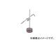 ¬/OHNISHI ȡ(ե) 164250R(3651452) JAN4560379760869