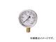 ¤/MIGISHITA ꥻ-T GLT210.1MP(3083951) JAN4548339130013