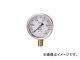 ¤/MIGISHITA ꥻ-T GLT210.25MP(3083969) JAN4548339130037