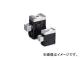 TAIYO ѥåȥåХ 1/4 PCV02(1053132)