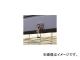 勵ʥٹ/WATANABE ѥޥͥåȼŬեå SK22(4407709) JAN4903620942605