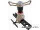 ѡ ե쥢󥰥ġ륻å(пļ)åȷޡ TF456WGH(4836626) JAN4967521344388