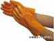 ӥ˥ ̳ѥӥ˥Ҥ(10) L 629-L(4800770) JAN4907026062967