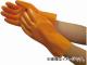 ӥ˥ ̳ѥӥ˥Ҥ(10) LL 629-LL(4800788) JAN4907026062974