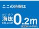 ȥ饹滳 ȴƥå 0.2m TKBS-02(4876717) JAN4989999362138
