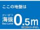 ȥ饹滳 ȴƥå 0.5m TKBS-05(4876741) JAN4989999362169