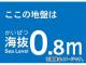 ȥ饹滳 ȴƥå 0.8m TKBS-08(4876776) JAN4989999362190