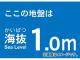 ȥ饹滳 ȴƥå 1.0m TKBS-10(4876792) JAN4989999362213